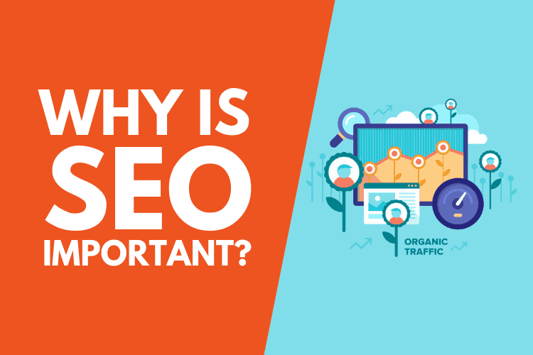 Why SEO is Important for Every Website?