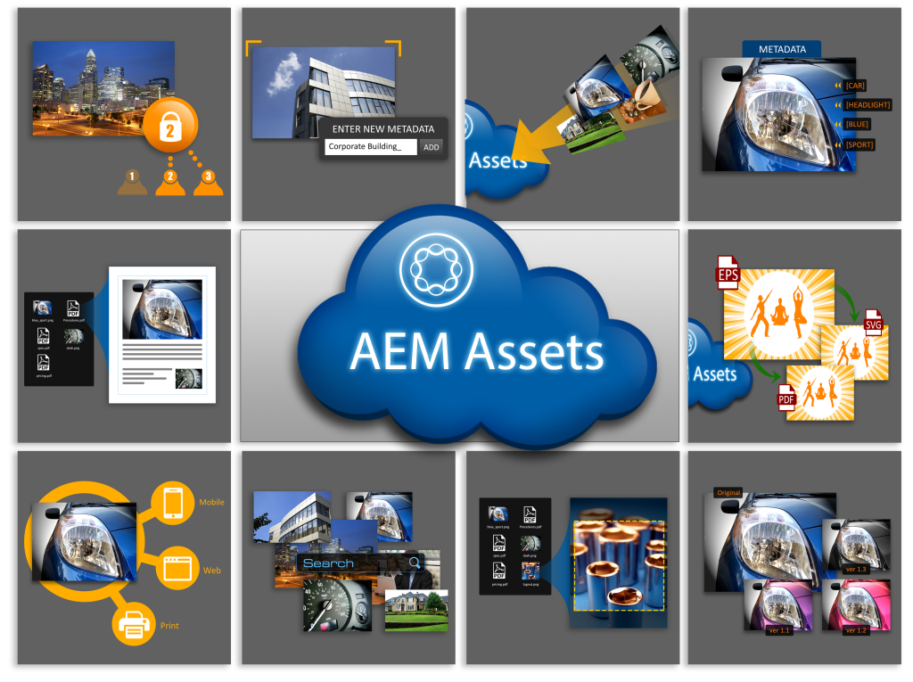 What Company is Best Suited for Using AEM Assets?