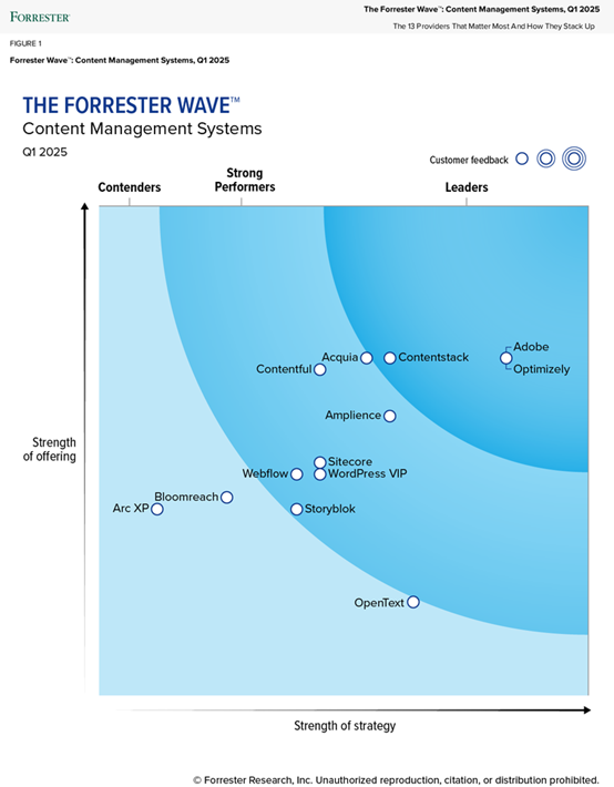 3.2 Forrester 2025 Wave：Adobe 與 Optimizely 領先市場