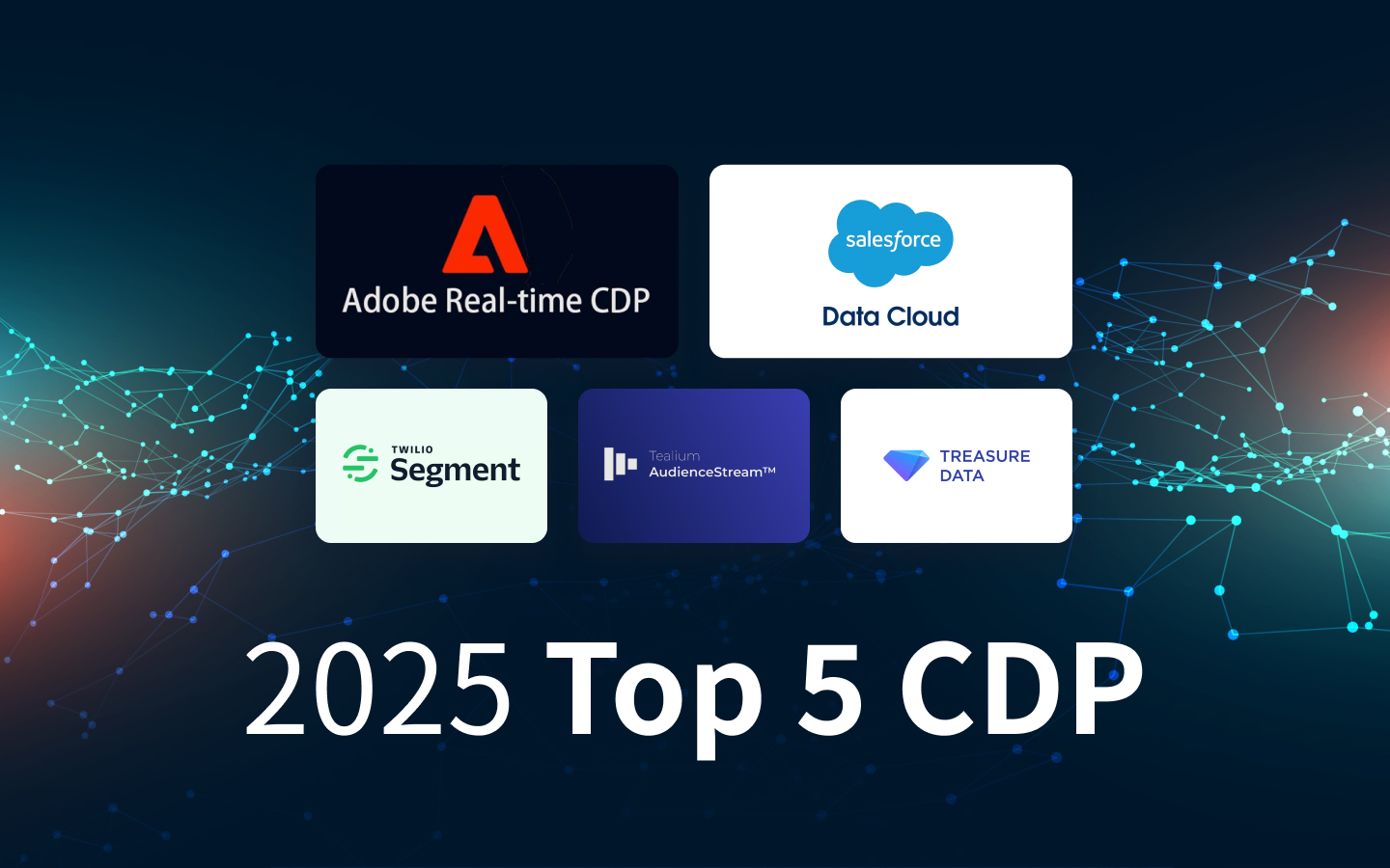 企业必看！2025年五大最佳CDP推荐与选型指南