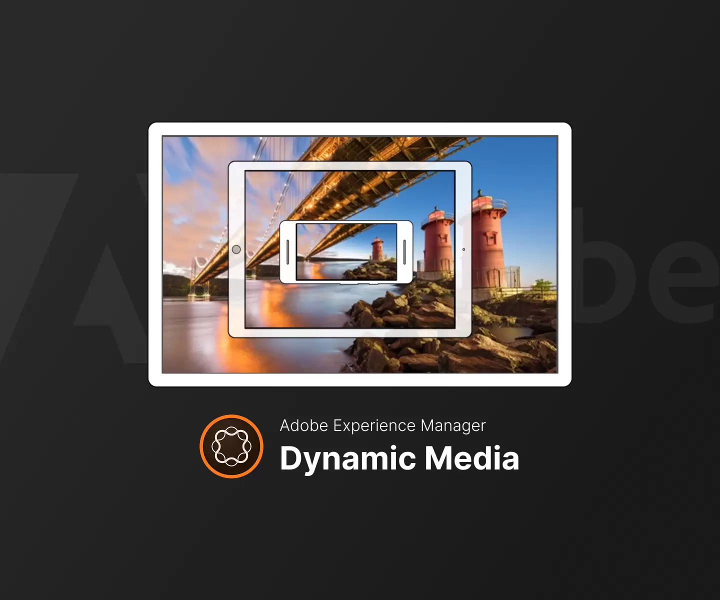 University website media performance optimization: case study cover