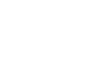 Adobe Silver Solution Partner Logo