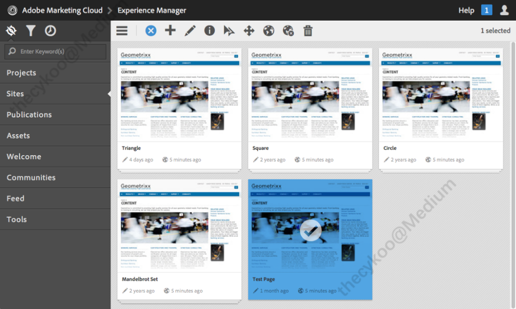 Adobe Experience Manager (Reference: Adobe)