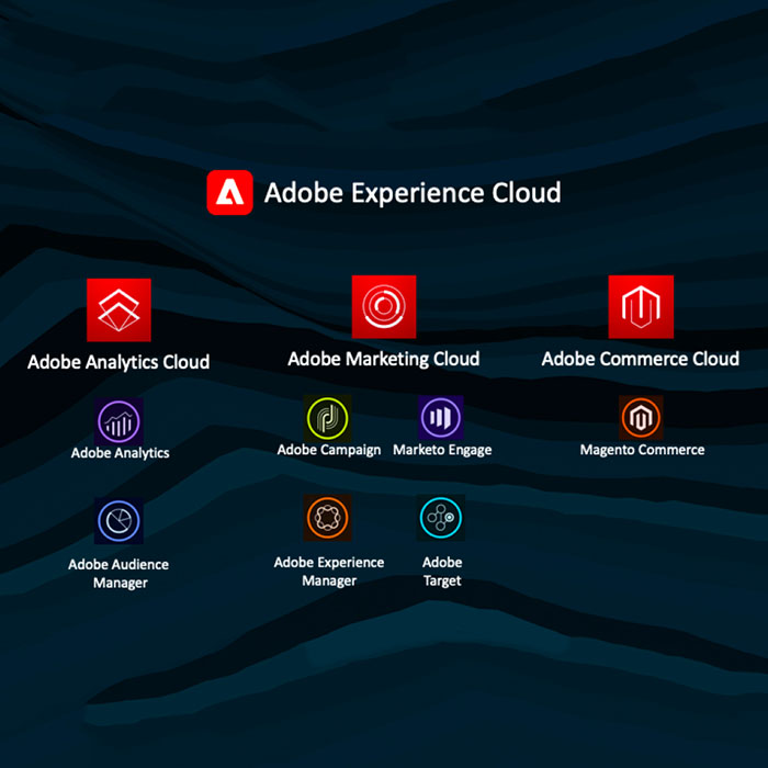 Deep understanding of Adobe products