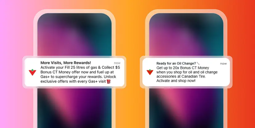 A Large Omnichannel Retailer