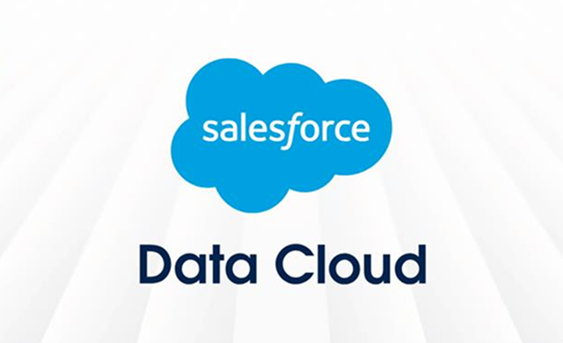 Salesforce Data Cloud