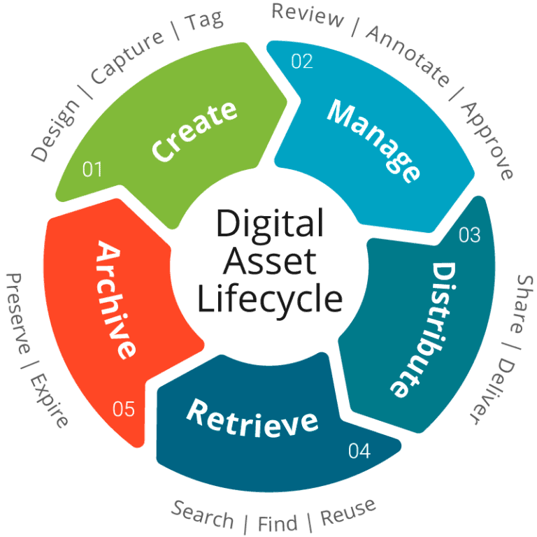 DAM Architecture & Asset Lifecycle