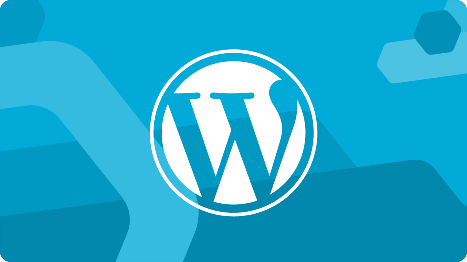 WordPress Interface
