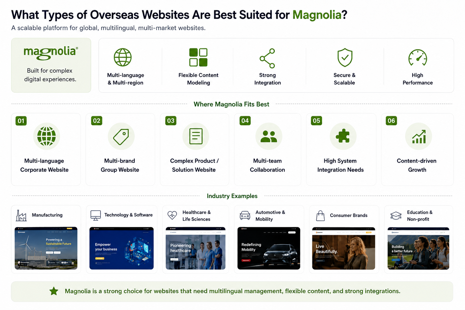 Overseas website types best suited for Magnolia CMS