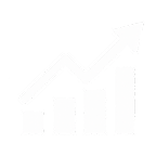Web Analytics & Data Insights Services
